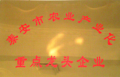 泰安市农业产业化重点龙头企业