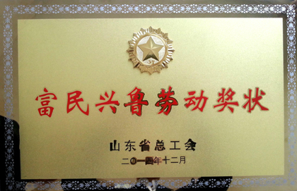 山东省“富民兴鲁”劳动奖状