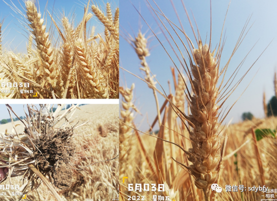640_003.png